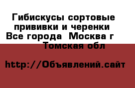 Гибискусы сортовые, прививки и черенки - Все города, Москва г.  »    . Томская обл.